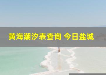 黄海潮汐表查询 今日盐城